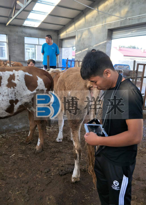 肉牛場用B超機